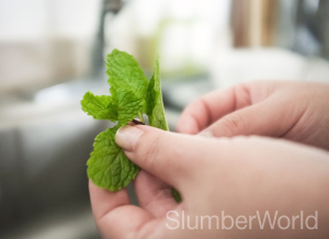 When adding leafy items, be sure to remove hardy stems and stalks.