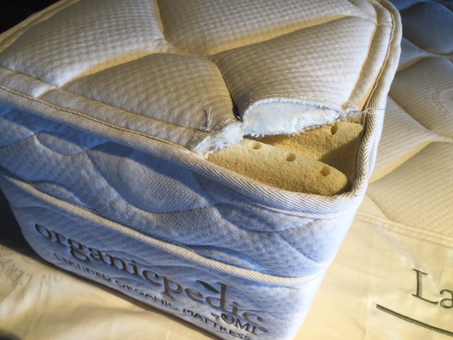 A cut out of the insides of the Lago Nouveau.